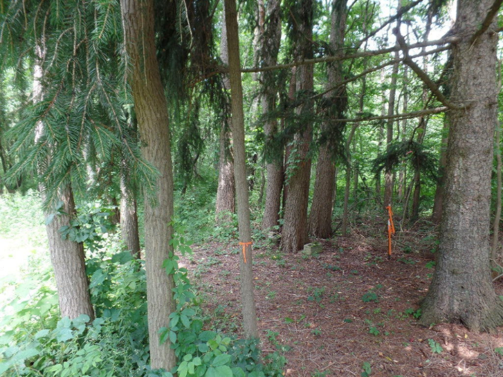 VL Blue Star Highway