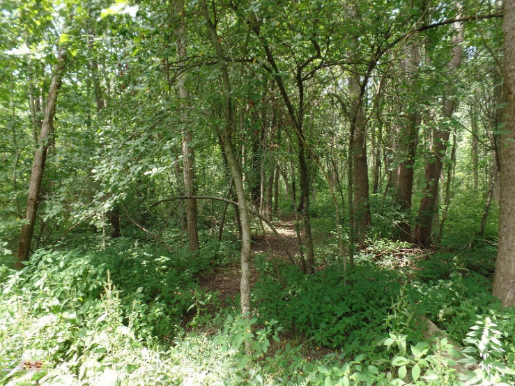 VL Blue Star Highway