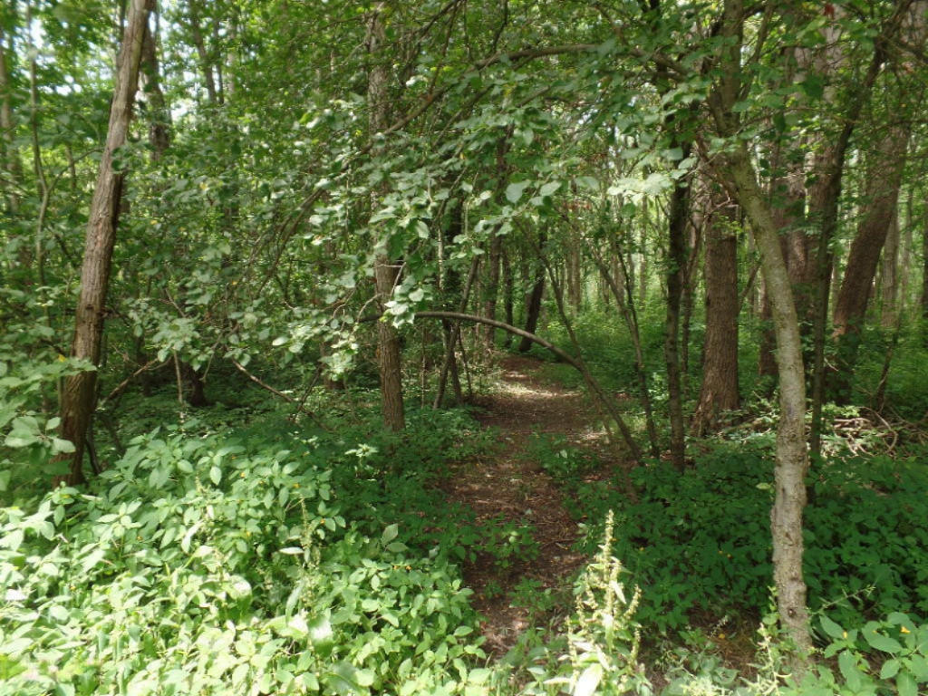 VL Blue Star Highway