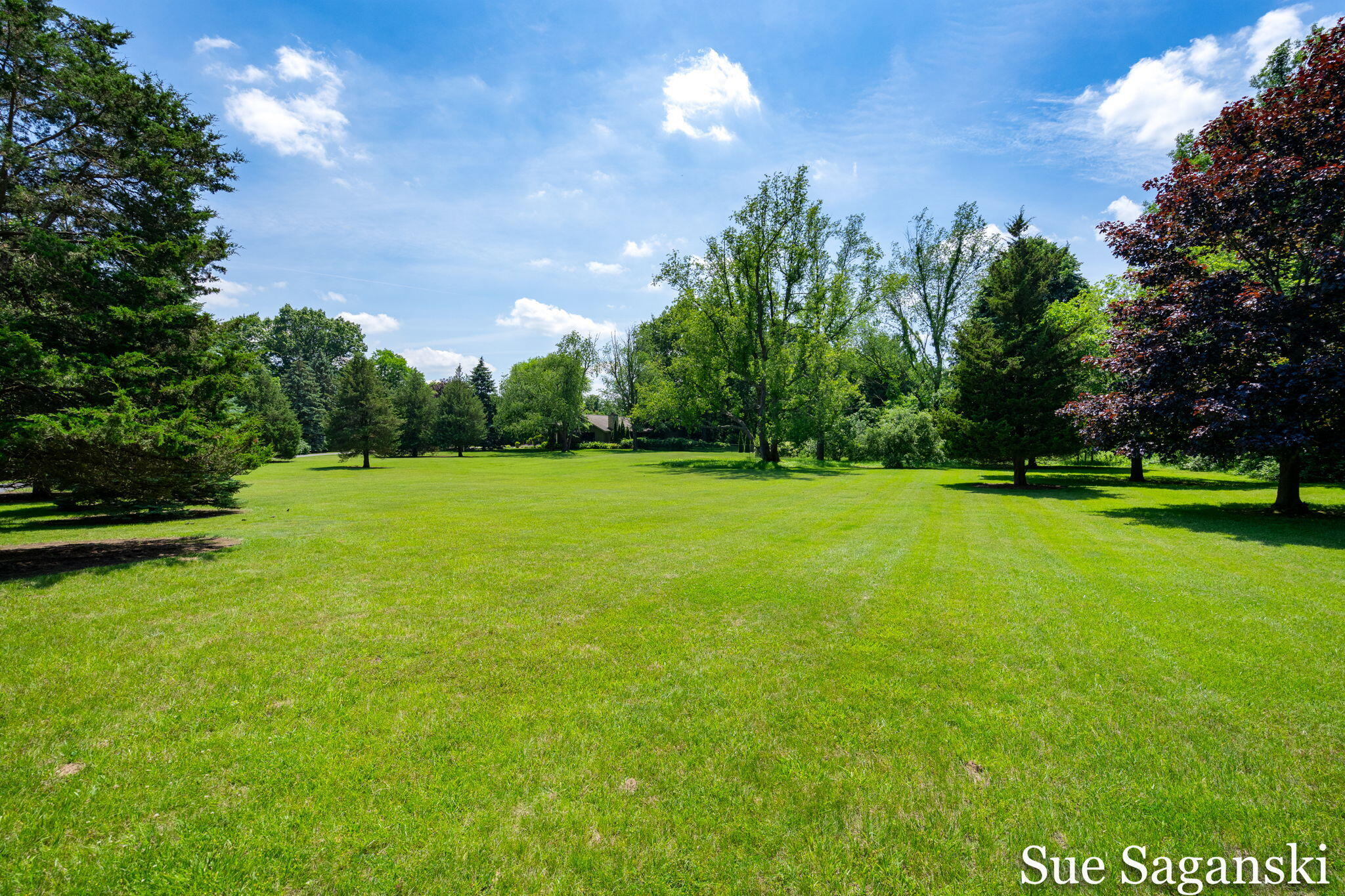 6514 Creekwood Drive