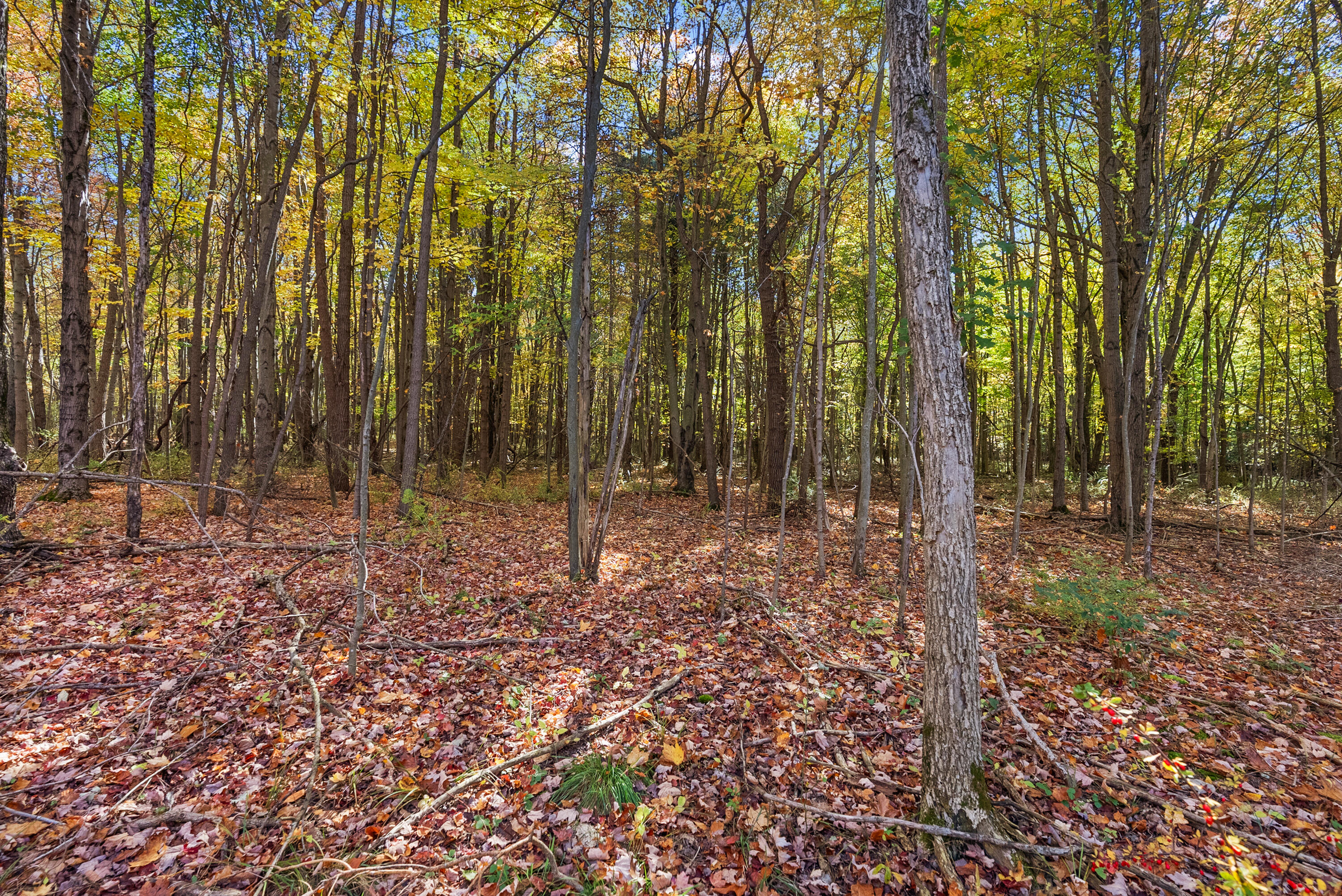 Lot 3 Christopher Court