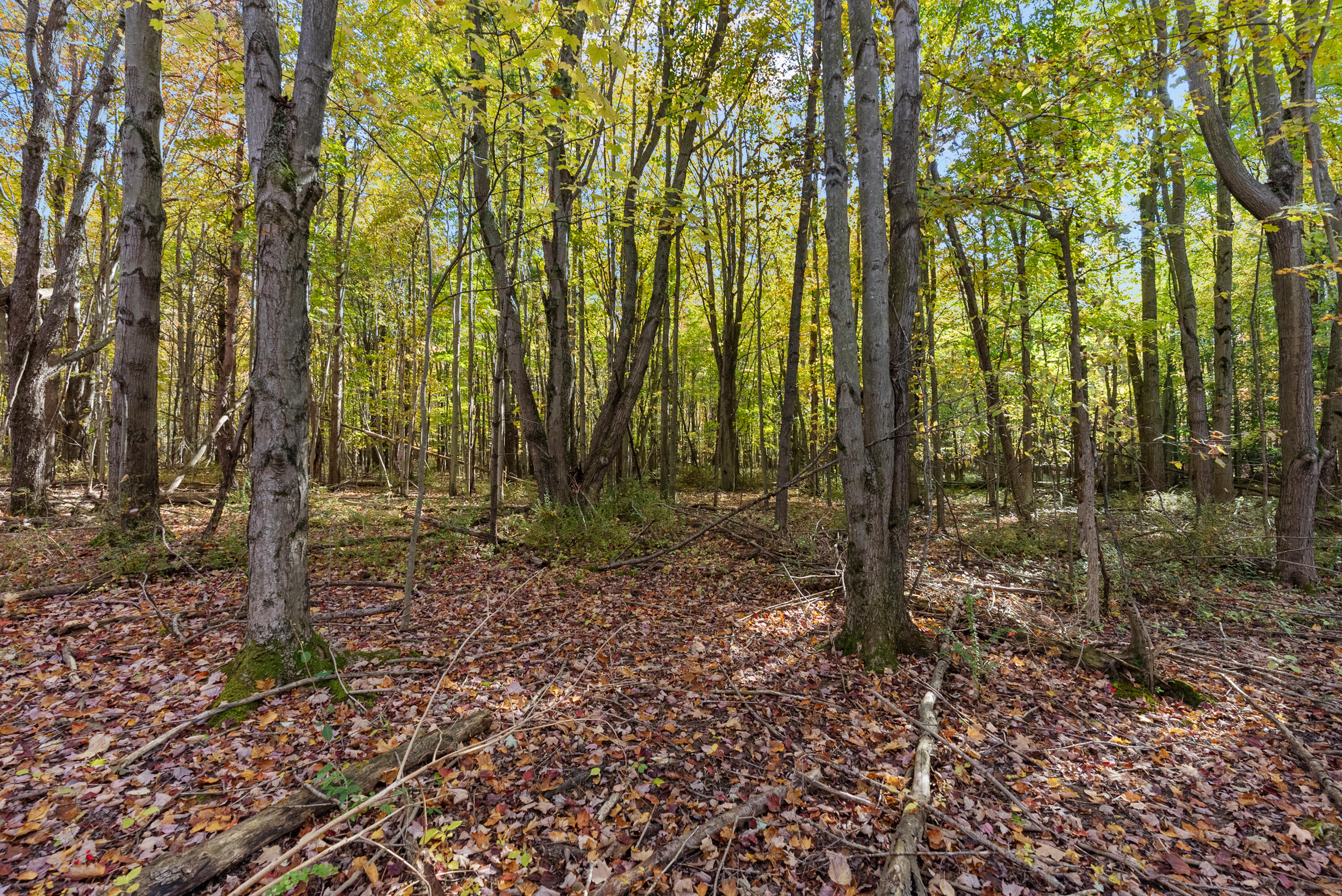 Lot 4 Christopher Court