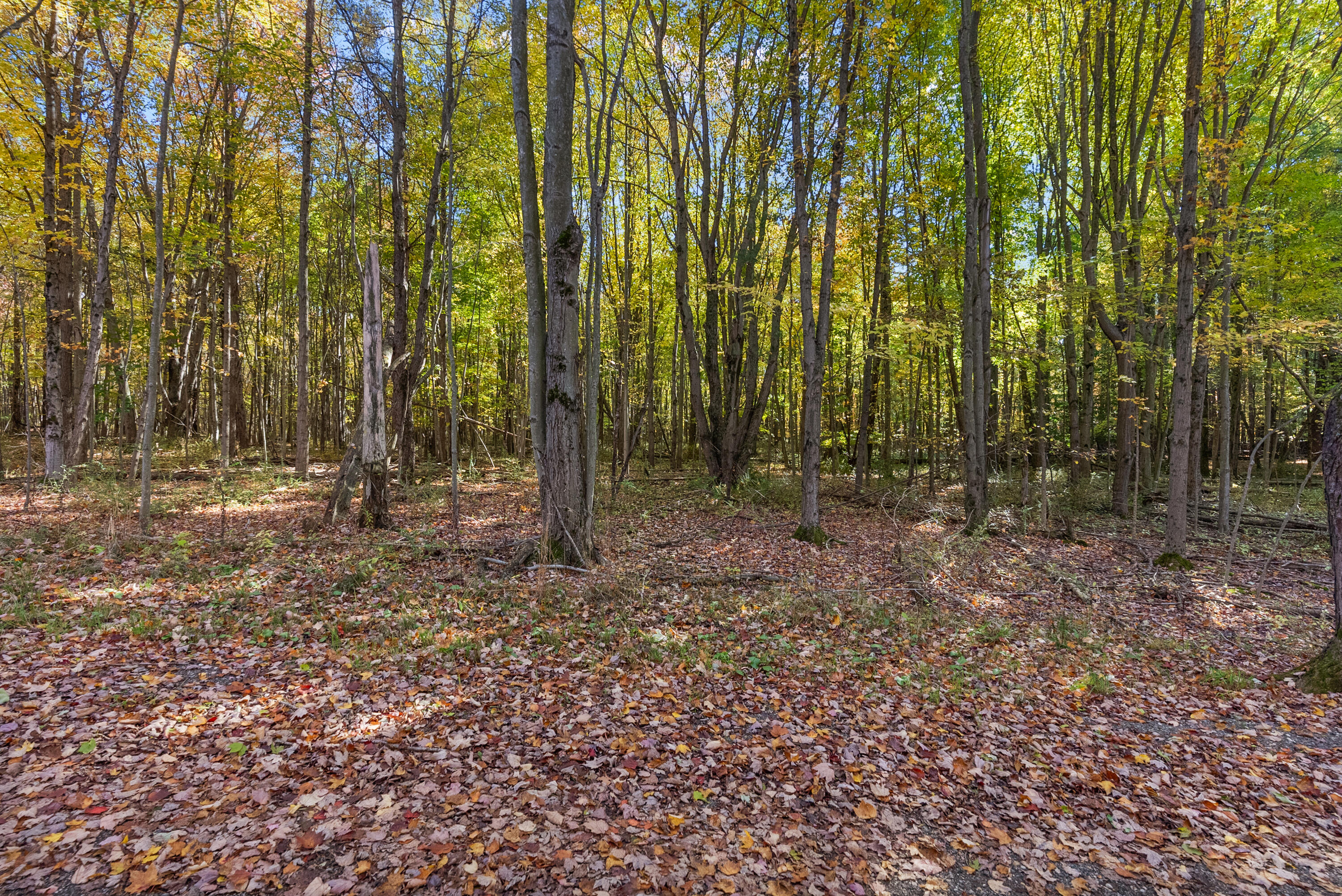 Lot 4 Christopher Court