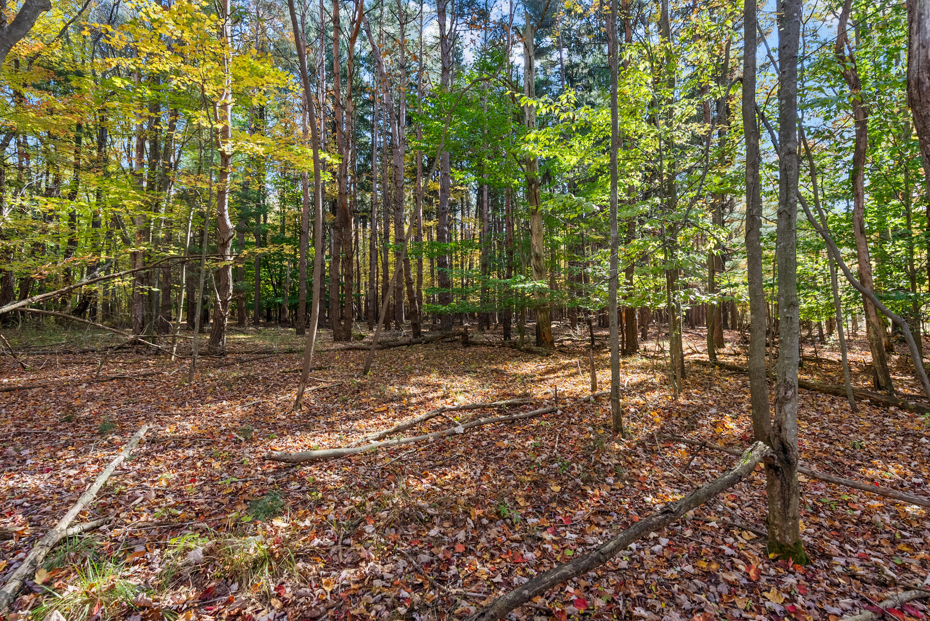 Lot 5 Christopher Court