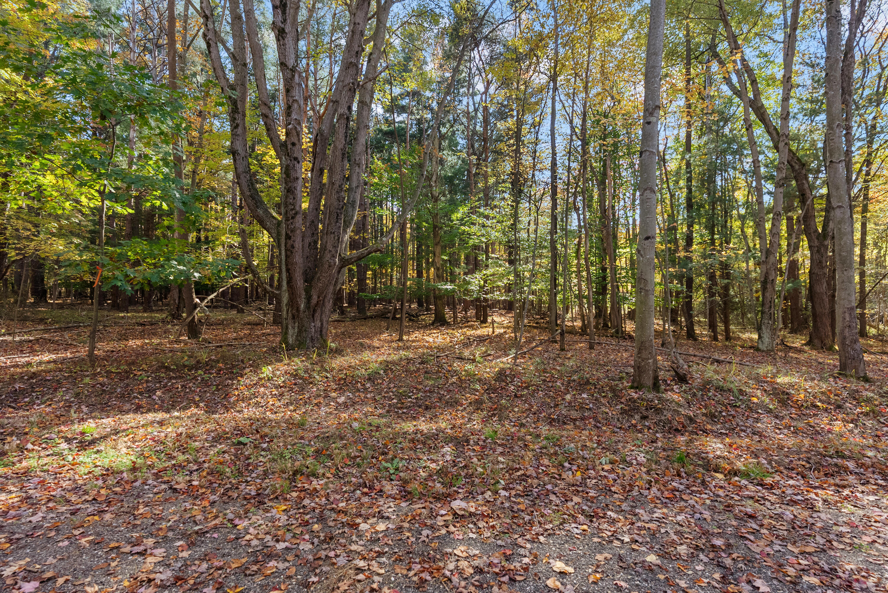 Lot 5 Christopher Court