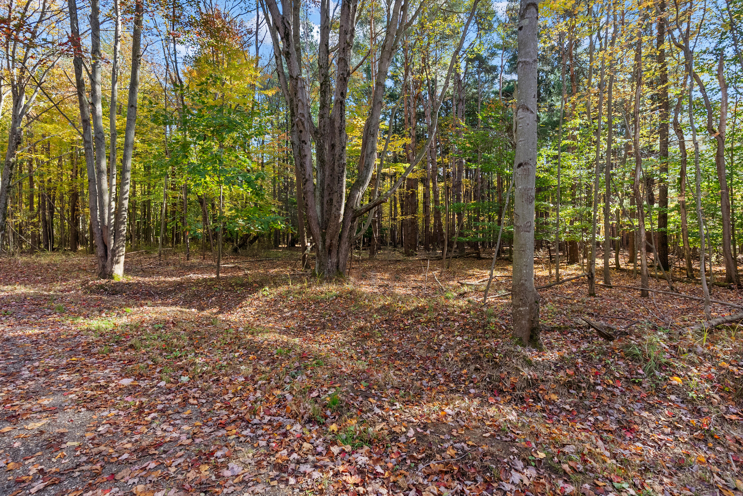 Lot 5 Christopher Court