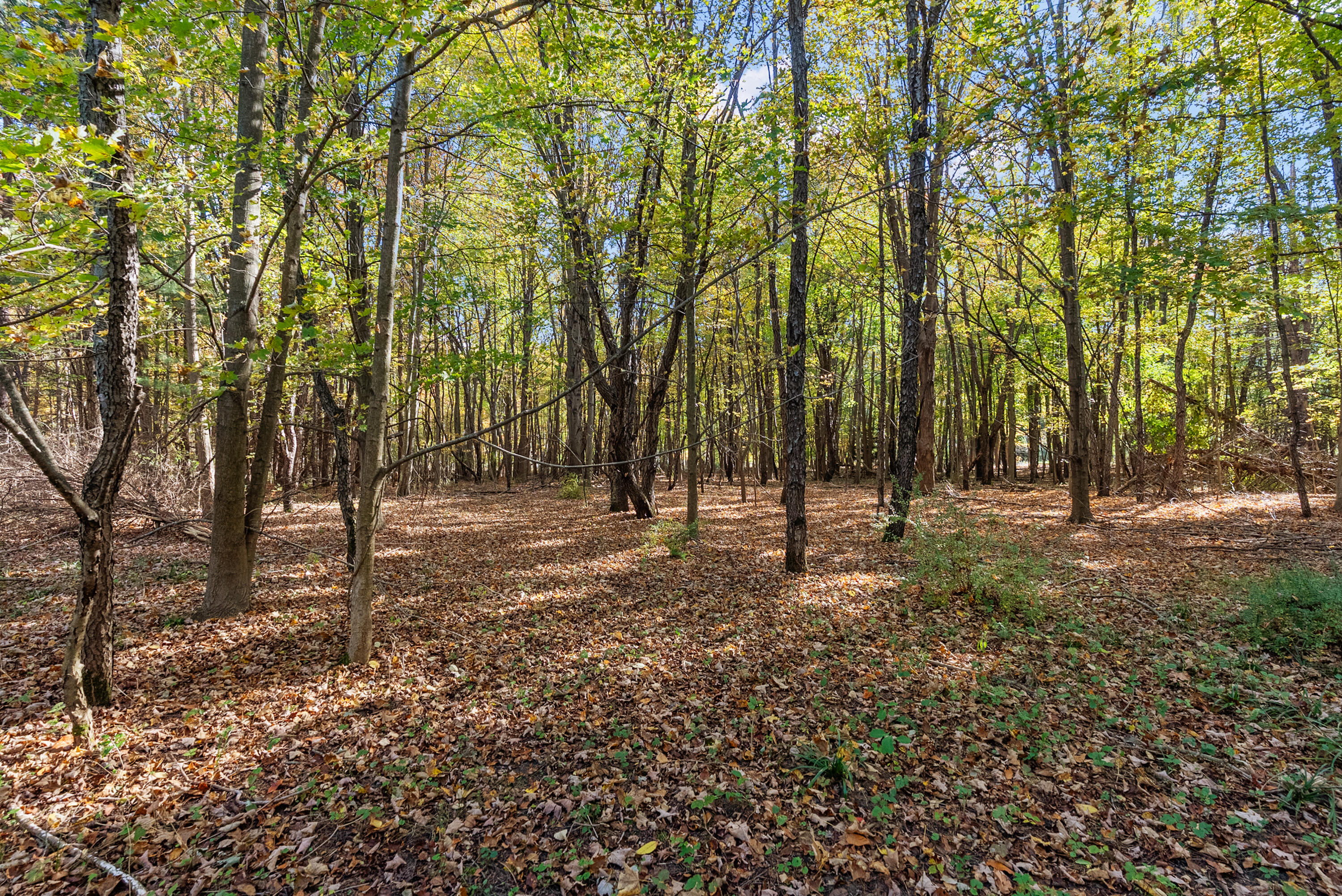 Lot 6 Christopher Court