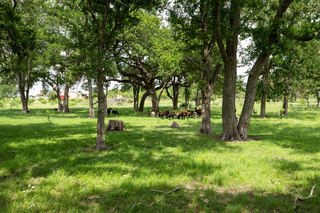 10220 E US Hwy 290