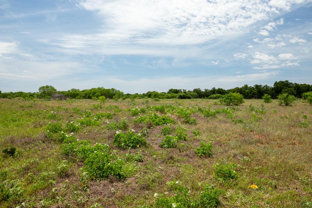 10220 E US Hwy 290