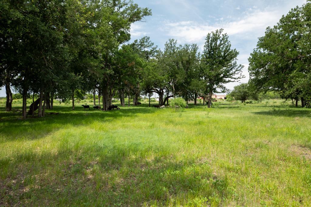 10220 E US Hwy 290