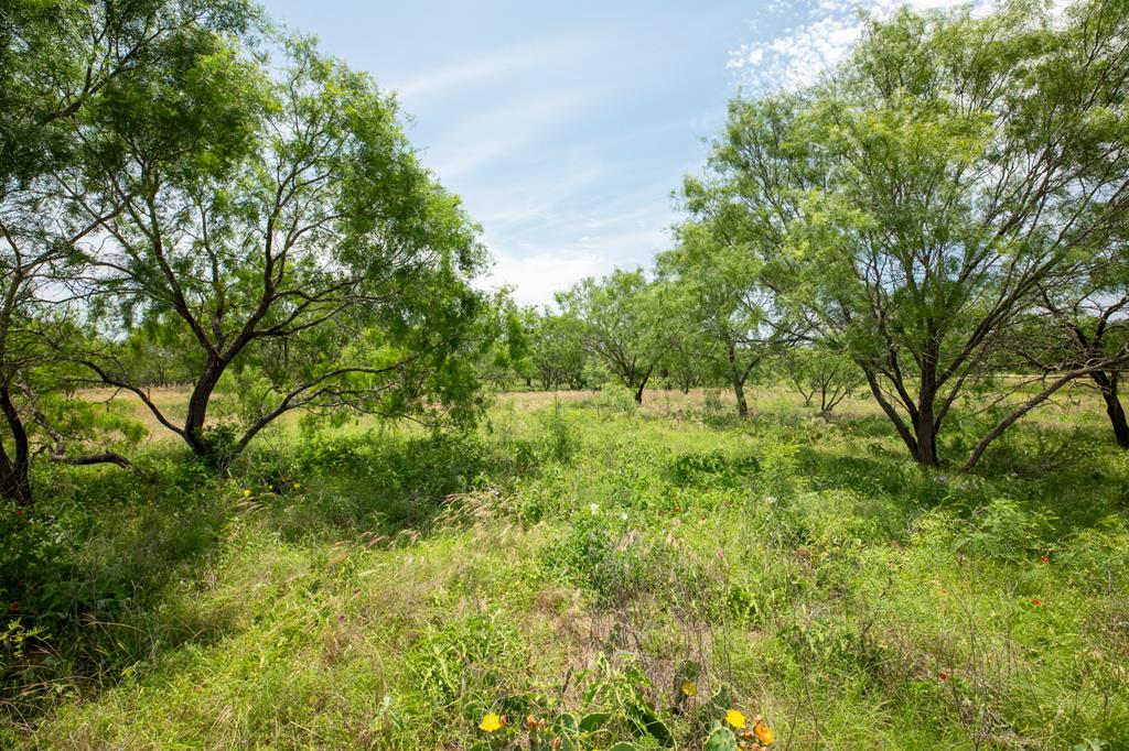10220 E US Hwy 290