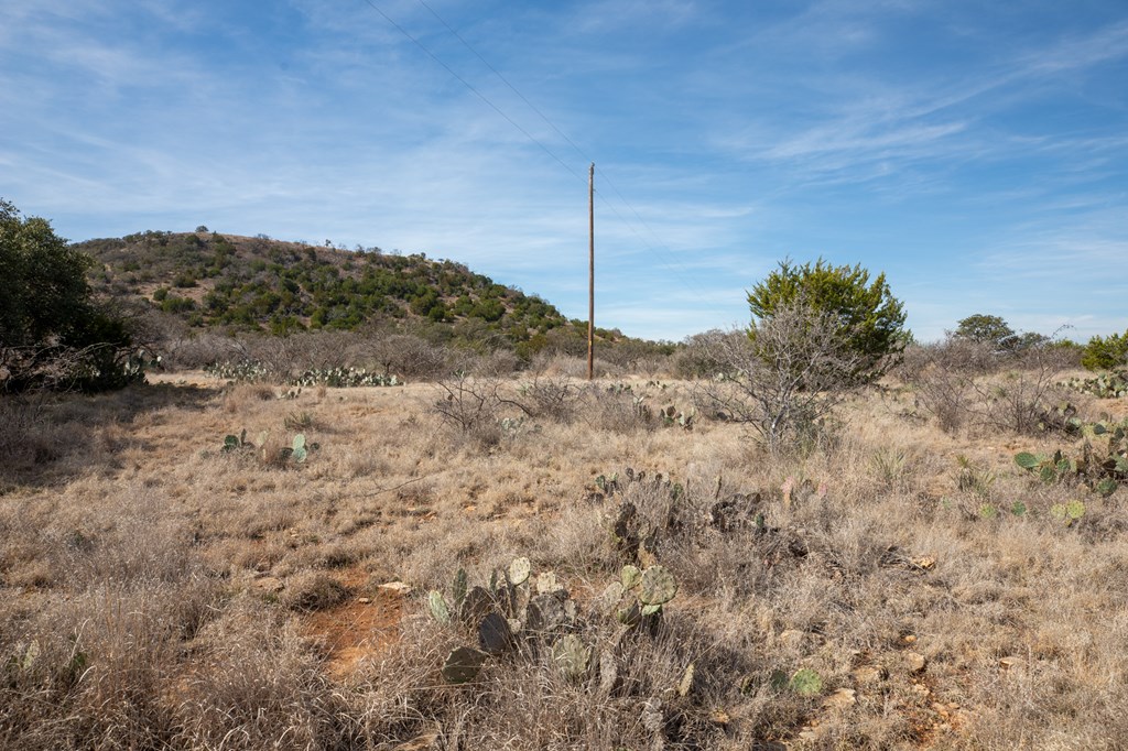 16719 Lot 1 Salt Branch Loop # 1