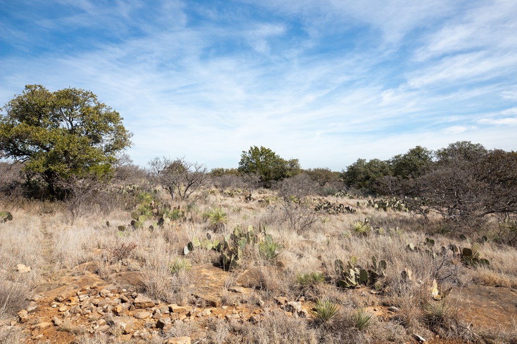 16719 Lot 1 Salt Branch Loop # 1