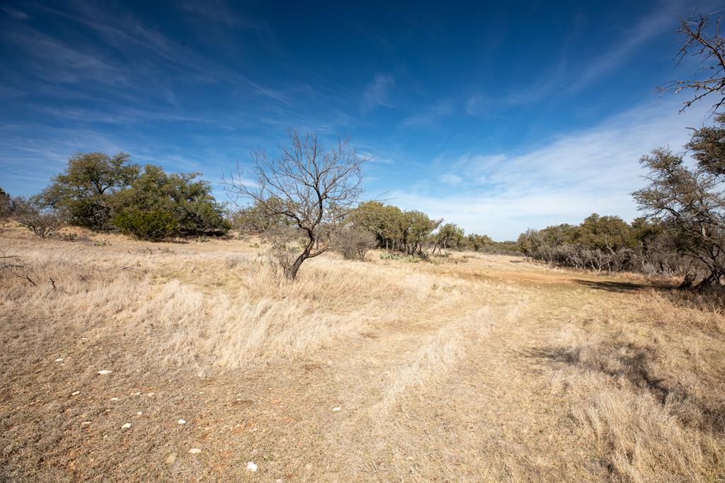 16719 Lot 1 Salt Branch Loop # 1