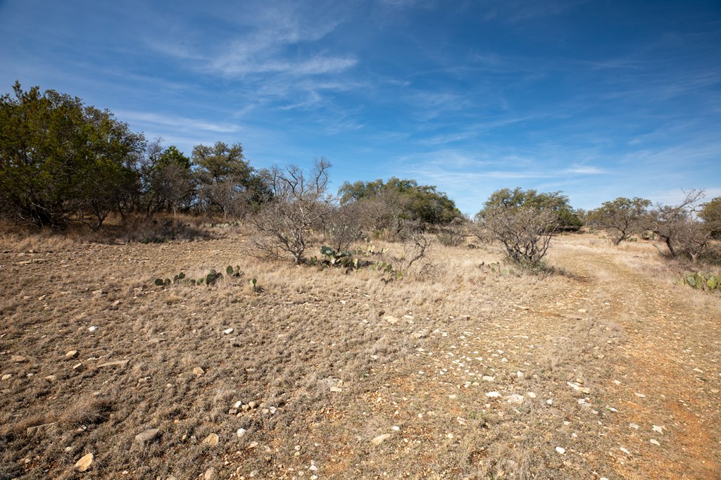 16719 Lot 1 Salt Branch Loop # 1