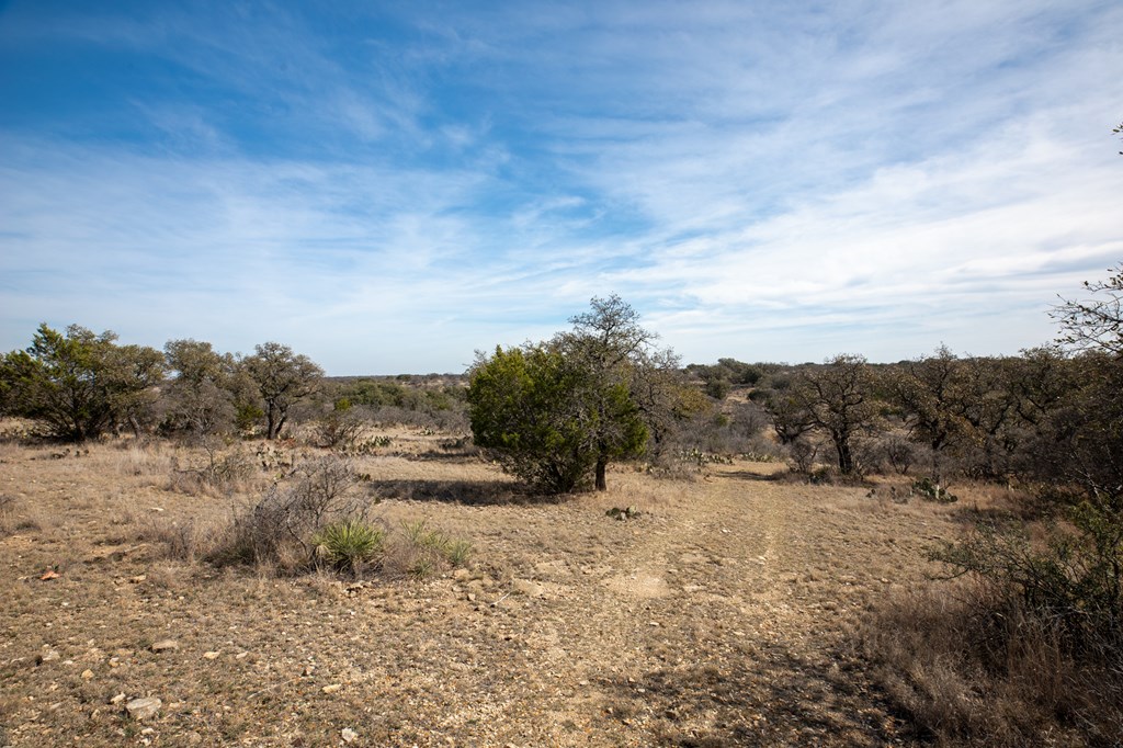 16719 Lot 2 Salt Branch Loop # 2