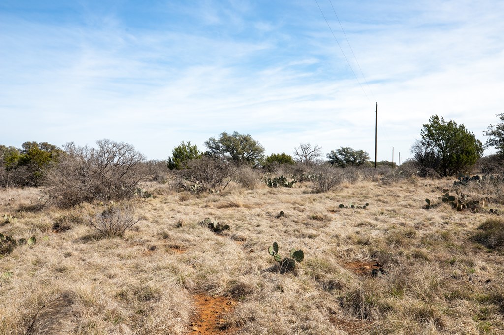 16719 Lot 2 Salt Branch Loop # 2