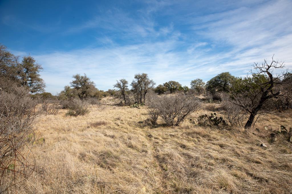 16719 - Lot 1&2 Salt Branch Loop Unit: 1&2