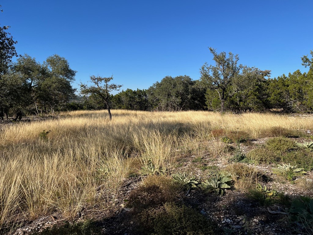 Tract 1 Rare Eagle Dr # 1