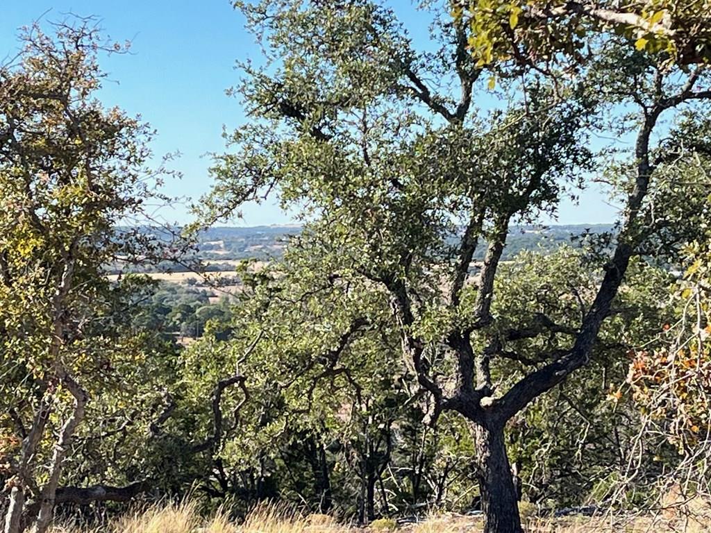 Tract 1 Rare Eagle Dr # 1