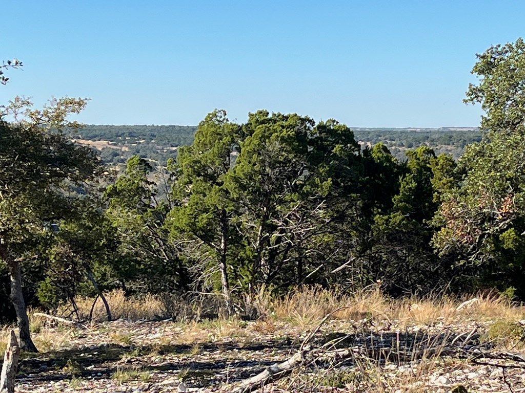 Tract 1 Rare Eagle Dr # 1