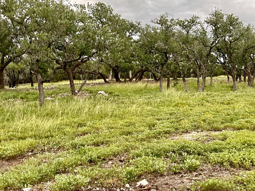 Tract 2 Rare Eagle Dr # 2