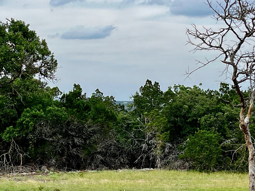 Tract 2 Rare Eagle Dr # 2