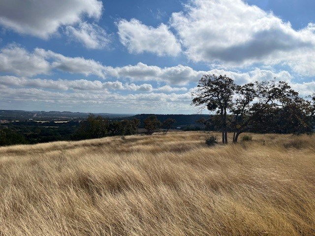 Tract 5 Rare Eagle Dr # 5