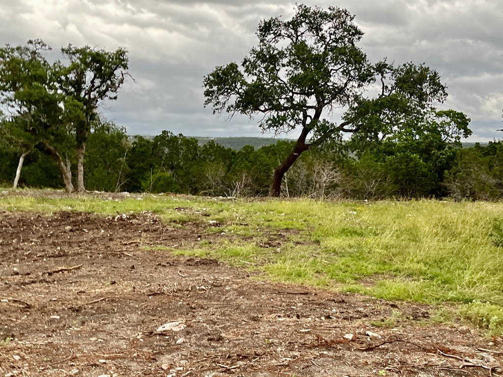 Tract 6 Rare Eagle Dr # 6