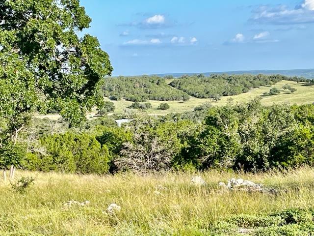Tract 6 Rare Eagle Dr # 6