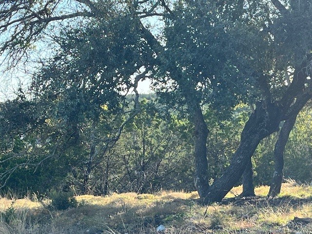 Tract 7 Rare Eagle Dr # 7