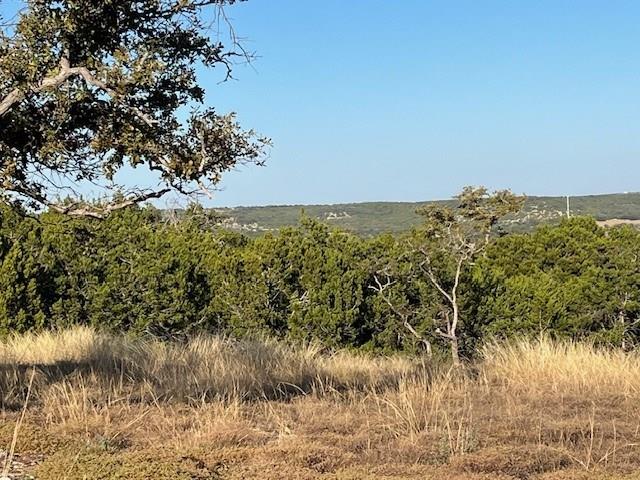Tract 7 Rare Eagle Dr # 7