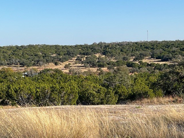 Tract 7 Rare Eagle Dr # 7