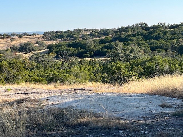 Tract 7 Rare Eagle Dr # 7