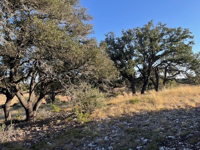 Tract 9 Rare Eagle Dr # 9
