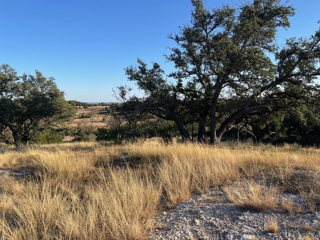 Tract 10 Rare Eagle Dr # 10