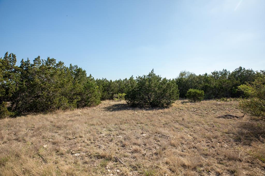 Tract 10 Rare Eagle Dr # 10