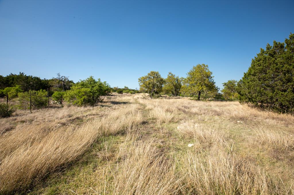 Tract 10 Rare Eagle Dr # 10