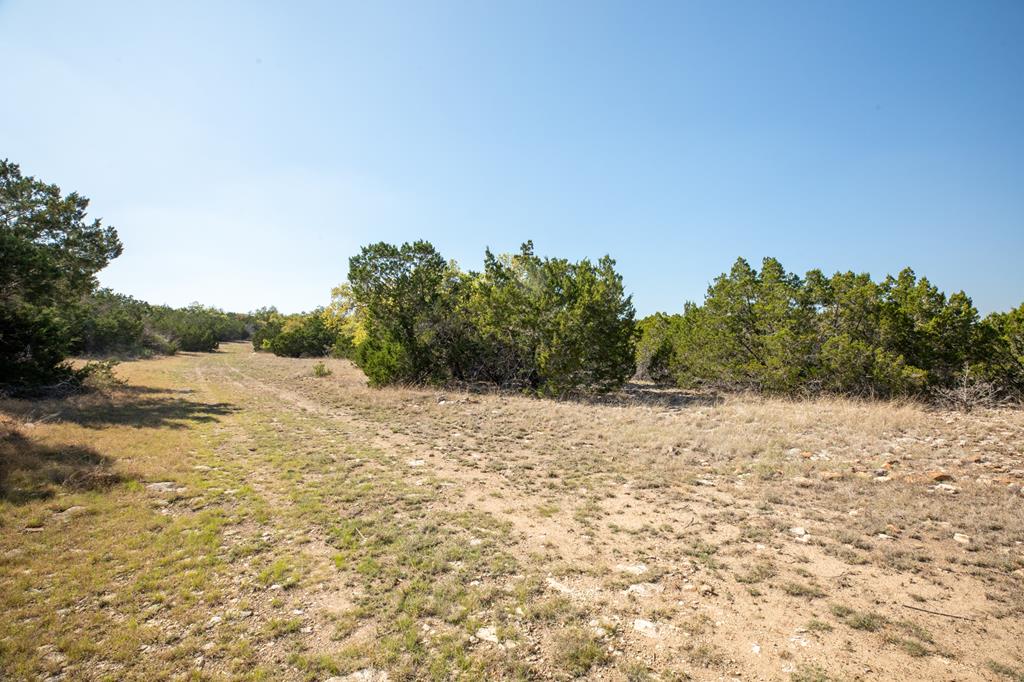 Tract 11 Rare Eagle Dr # 11