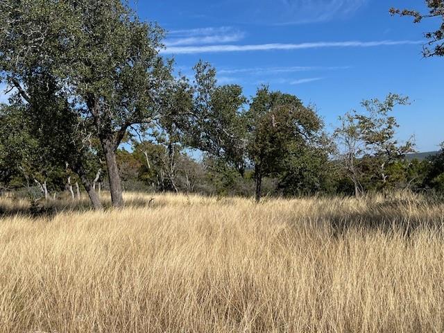 Tract 11 Rare Eagle Dr # 11