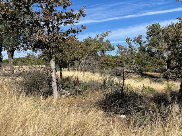 Tract 11 Rare Eagle Dr # 11