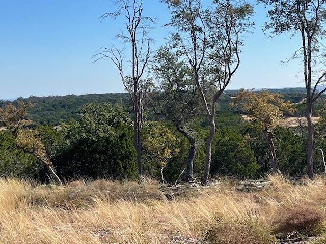 Tract 12 Rare Eagle Dr # 12