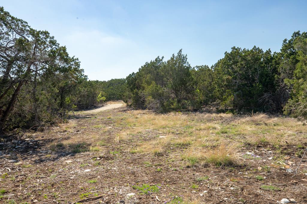 Tract 13 Rare Eagle Dr # 13
