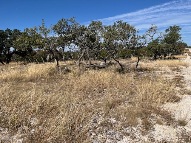 Tract 15 Rare Eagle Dr # 15