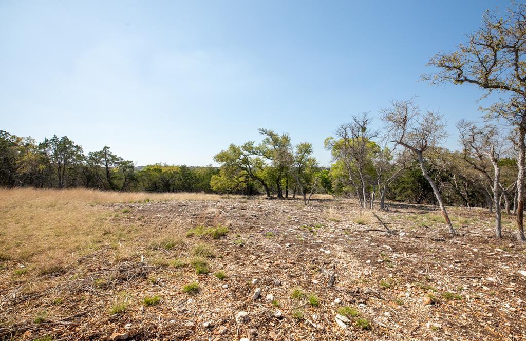 Tract 15 Rare Eagle Dr # 15