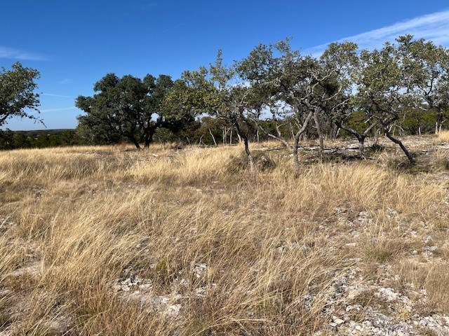 Tract 15 Rare Eagle Dr # 15