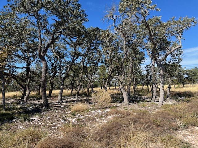Tract 16 Rare Eagle Dr # 16