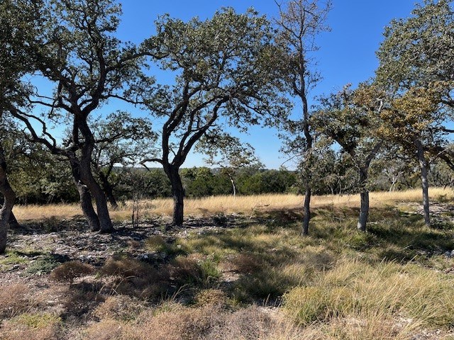 Tract 16 Rare Eagle Dr # 16