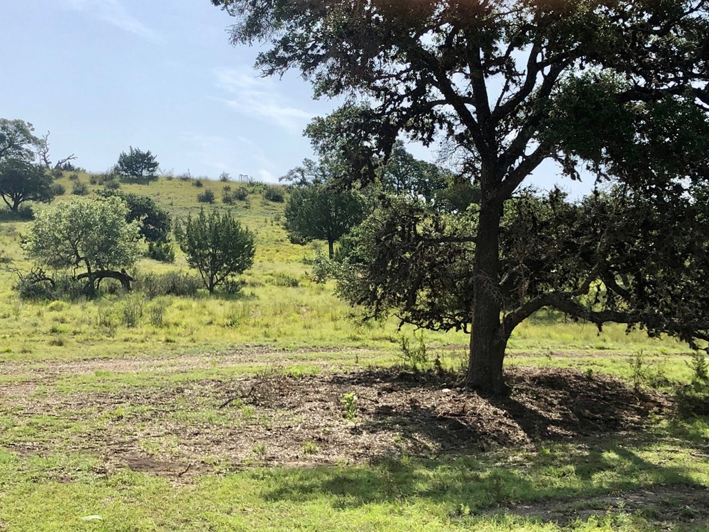 Tract 4 Southview Ridge Ln # 4