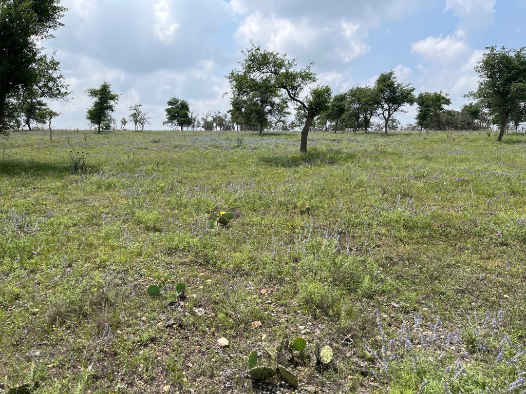 Lot 9 Sweet Wind Ln # 9